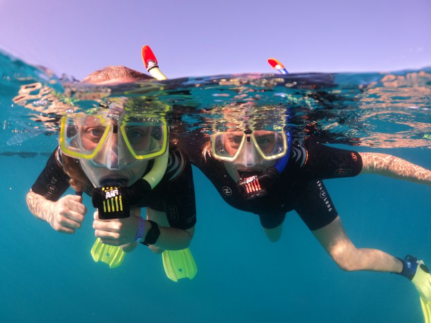 Tenerife: Half-Day Snorkeling Tour - Playa Abades safety briefing, gear fitting, and first-water confidence