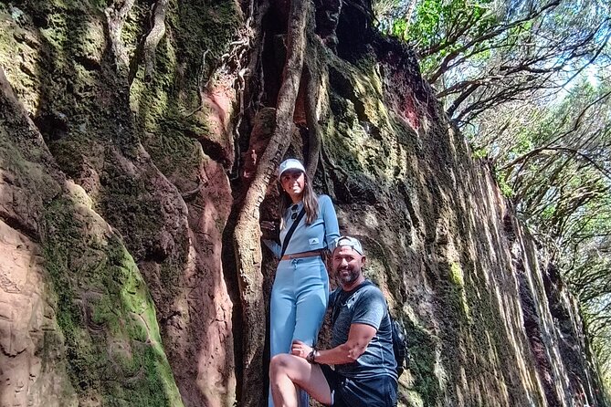 Tenerife: Hiking Tour in Anaga Mountains and Enchanted Forest - Key things I’d plan around before you go