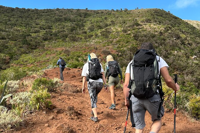 Tenerife: Hiking Tour in Anaga Mountains and Enchanted Forest - Free pickup and a 9:00 am start that beats the crowd problem