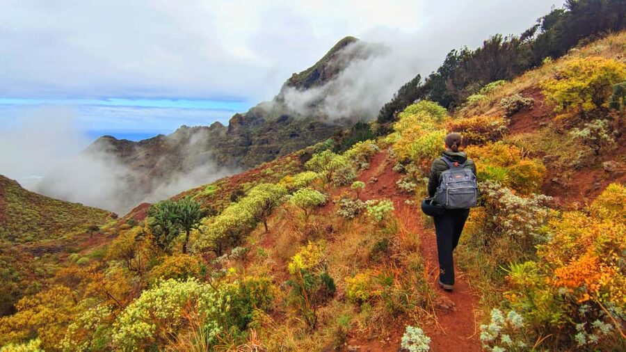 Tenerife: Hiking Tour in Anaga Mountains & Enchanted Forest - Timing, duration, and the cruise-day-friendly format
