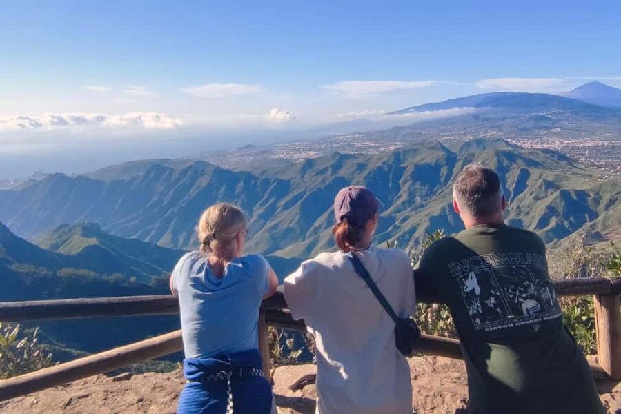 Tenerife: Hiking Tour in Anaga Mountains & Enchanted Forest - Pickup and drop-off across the south-east coast: convenient, but confirm your spot