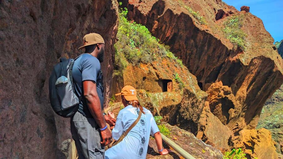 Tenerife: Hiking Tour in Anaga Mountains & Enchanted Forest - Riding into the Enchanted Anaga Forest, plus quick photo stops