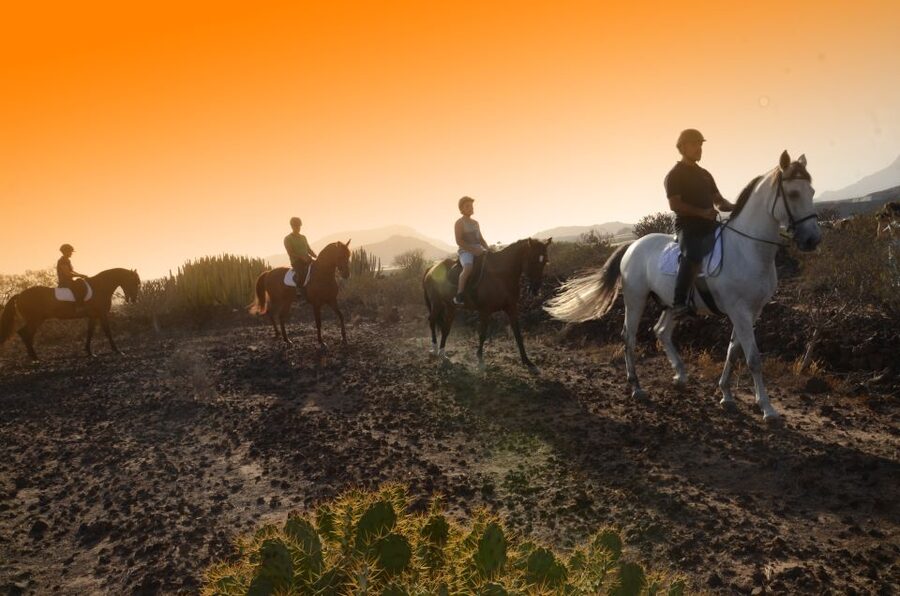 Tenerife: Horseback Ride with Instructor - Key things to love about this Tenerife horseback ride