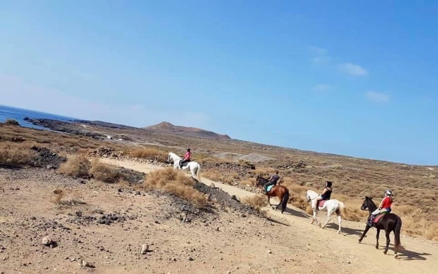 Tenerife: Horseback Ride with Instructor - Tenerife horseback riding from Xanadu Riding Center in Arona