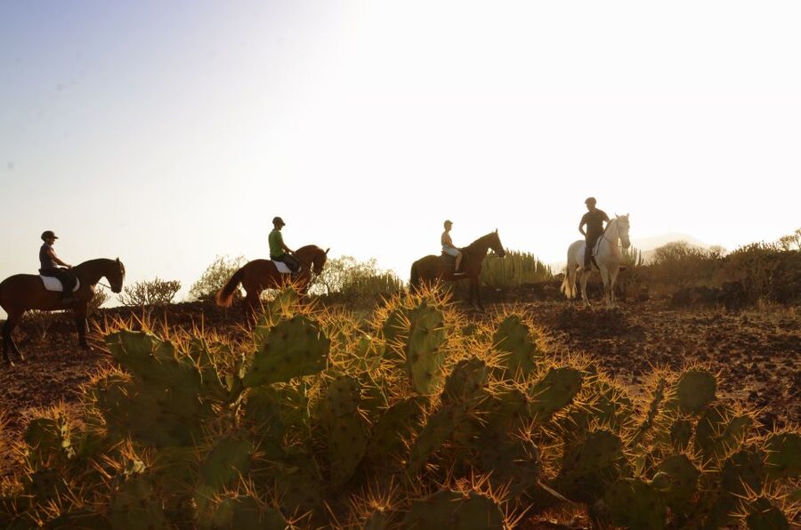 Tenerife: Horseback Ride with Instructor - Choosing between the 1-hour and 2-hour rides