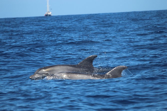 Tenerife : Jet Ski Tour with option for Quad Trip - The water stops: swimming and snorkeling break