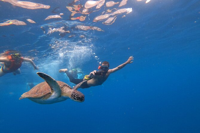 Tenerife: Kayak and snorkel with marine life safari - Snorkel time: what you’ll do and how to get the most from it