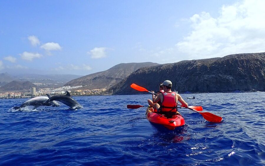 Tenerife: Kayak and Snorkel with Turtles, Wetsuits Included - What you need to bring, and how to avoid common day-of problems