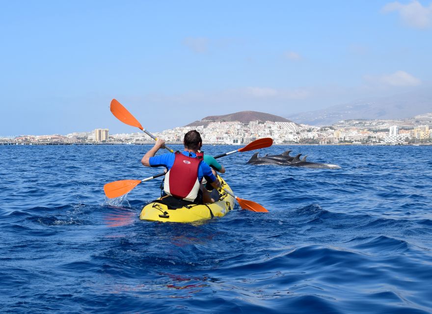 Tenerife: Kayak and Snorkel with Turtles, Wetsuits Included - Guides: the calm energy that makes paddling feel easy