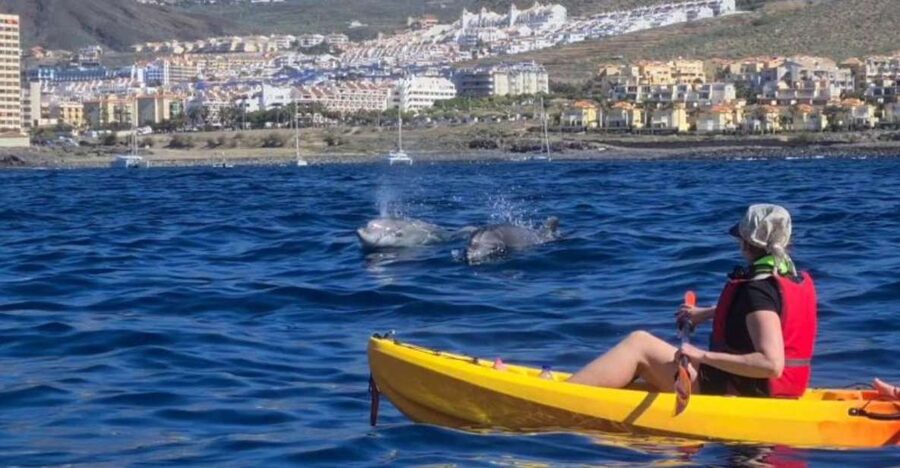Tenerife: Kayak Safari and Sea Turtle Snorkeling with Photos - Los Cristianos Start: Why This Works Better Than a Big Boat