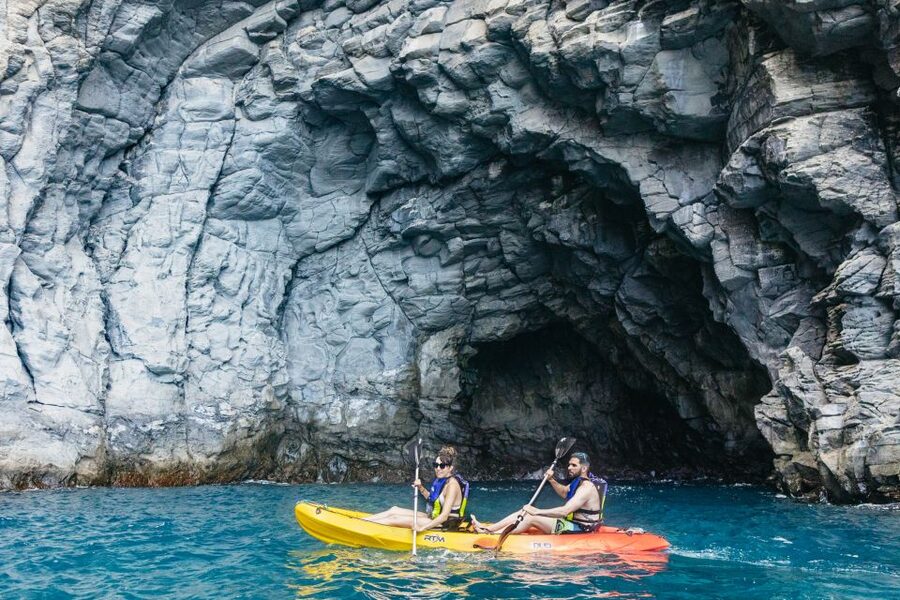 Tenerife: Kayak Safari and Sea Turtle Snorkeling with Photos - The Secret Stop: Extra Dolphin Chances and Another Wildlife Window