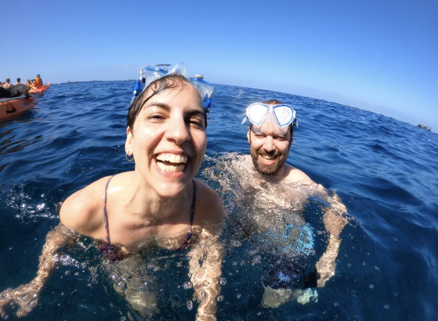Tenerife: Kayak Safari and Sea Turtle Snorkeling with Photos - Value Check: Is This $29 Price Actually Sensible?