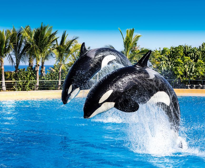 Tenerife: Loro Parque Entry Ticket - Who should book this Loro Parque day ticket?
