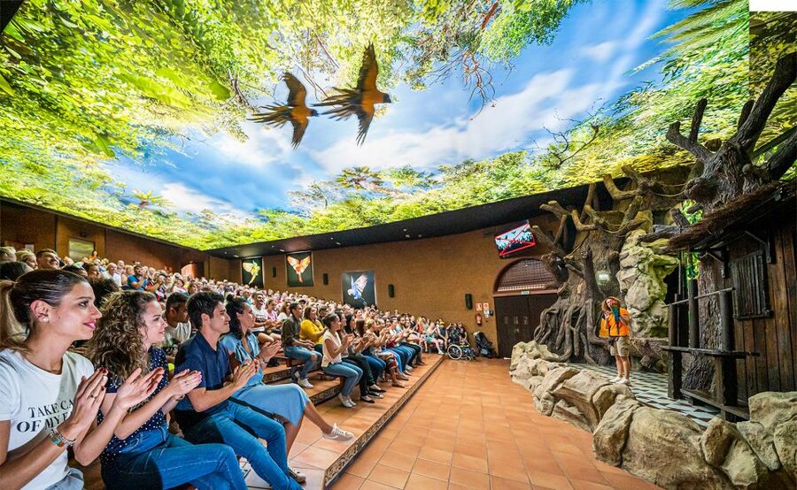 Tenerife: Loro Parque Entry Ticket - A one-day ticket at Loro Parque: how to pace it