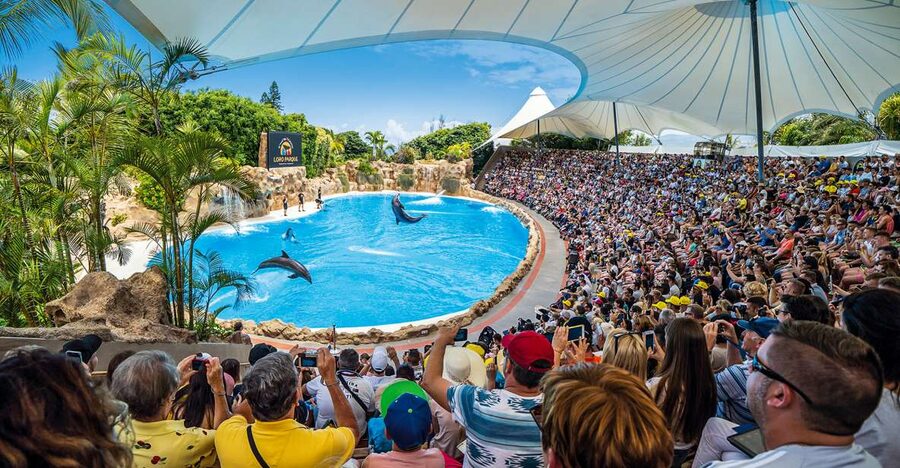 Tenerife: Loro Parque Entry Ticket - The best walk-through zones: penguins, gorillas, aquarium tunnels, and birds