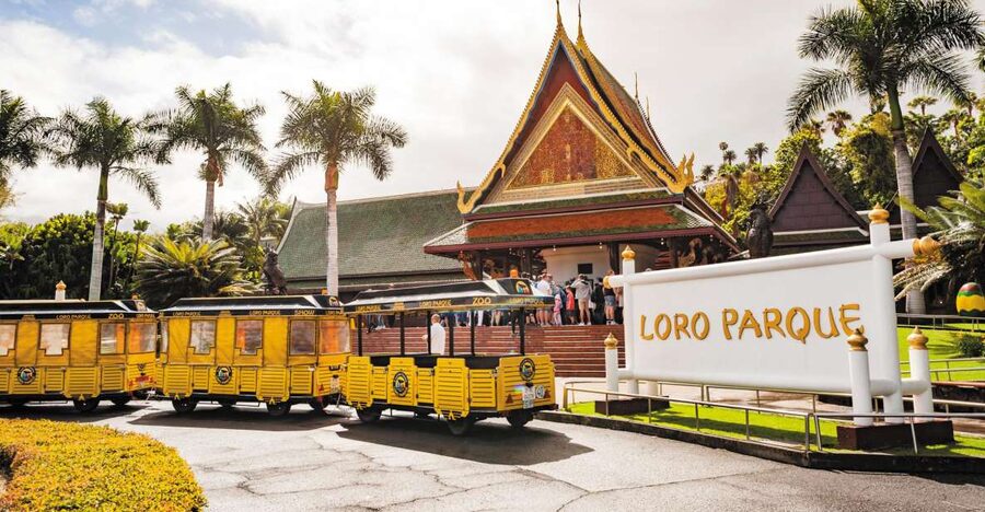 Tenerife: Loro Parque & Siam Park Entry Ticket with Transfer - Key points to know before you go