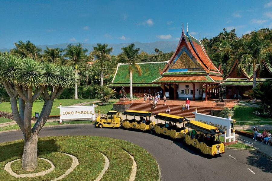 Tenerife: Loro Parque & Siam Park Entry Ticket with Transfer - Should you book this Tenerife twin parks ticket?