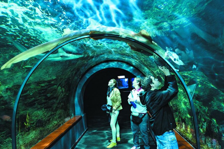 Tenerife: Loro Parque & Siam Park Entry Ticket with Transfer - Siam Park day: Thailand-themed water rides and wave power