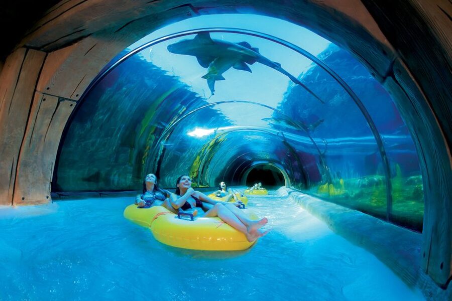 Tenerife: Loro Parque & Siam Park Entry Ticket with Transfer - Timing, queues, heat: how to make your hours feel longer