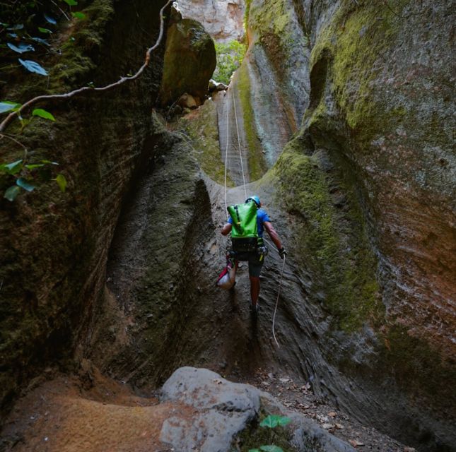 Tenerife: Los Arcos Canyoning Tour with Guide - Key Highlights I’d Plan Around