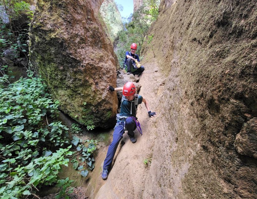 Tenerife: Los Arcos Canyoning Tour with Guide - Between Drops: How Small-Group Guides Keep You Comfortable