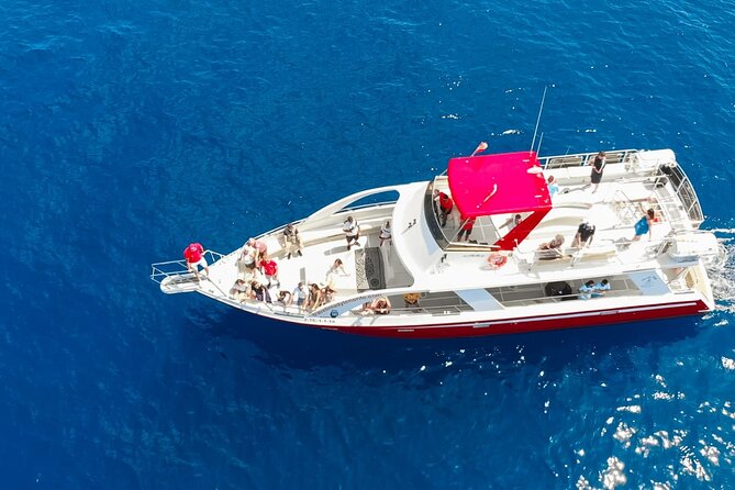 Tenerife Los Cristianos: Whale and Dolphin Eco-Yacht and Swim Stop - Blue-Boat Flag, Low-Gravity Boat, And The Right Mindset