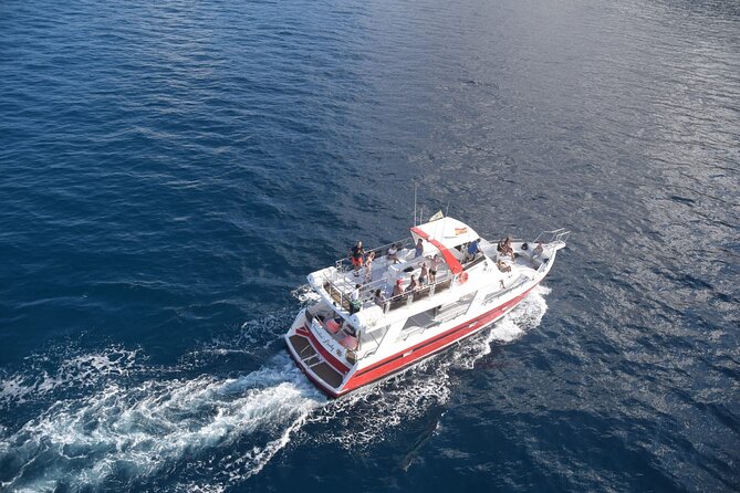 Tenerife Los Cristianos: Whale and Dolphin Eco-Yacht and Swim Stop - Playa de Los Cristianos Swim Stop: The Part You’ll Remember Longer