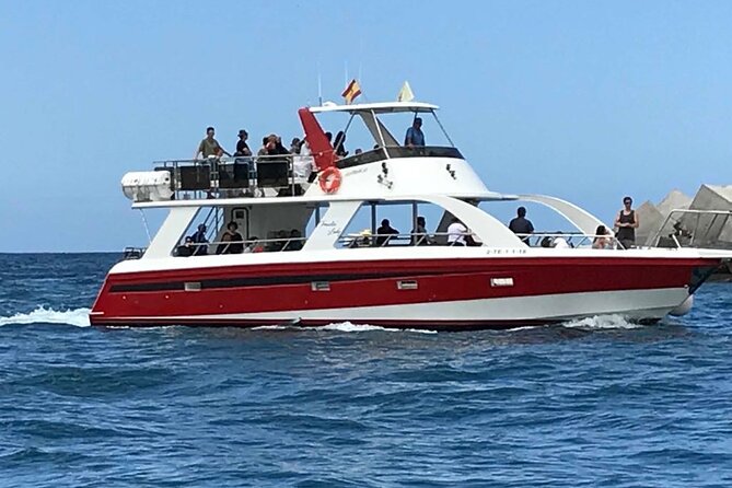 Tenerife Los Cristianos: Whale and Dolphin Eco-Yacht and Swim Stop - Boat Comfort Reality Check: Shade Helps, Rolling Still Happens