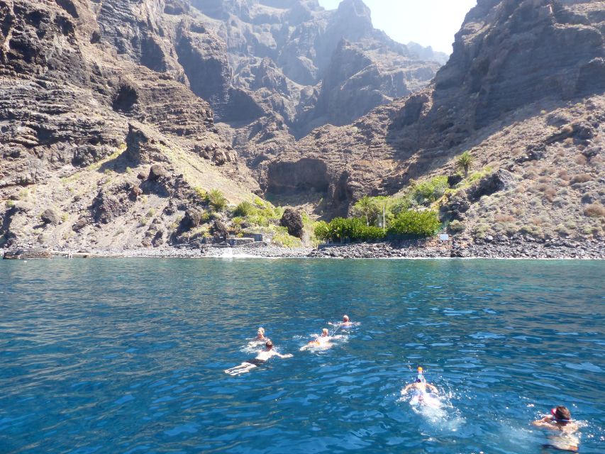 Tenerife: Los Gigantes Whale Watching Cruise by Sail Boat - Up Close in Real Life: What the Boat Experience Feels Like