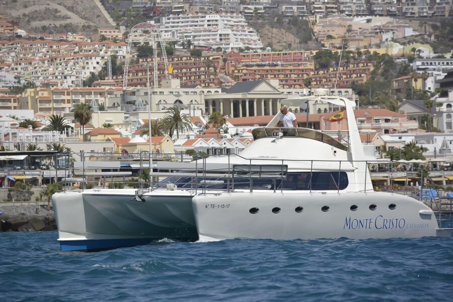 Tenerife: Marine-Life Tour with Transfer, Buffet and Drinks - South Tenerife By Catamaran: What Makes Monte Cristo Work