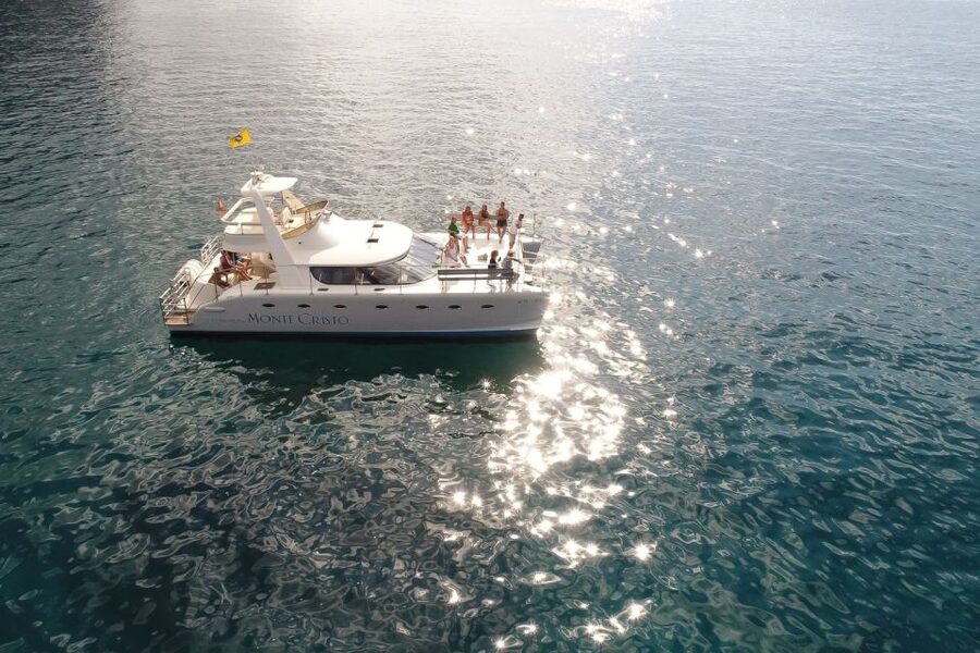 Tenerife: Marine-Life Tour with Transfer, Buffet and Drinks - Value Check on a $69, 3-Hour Catamaran