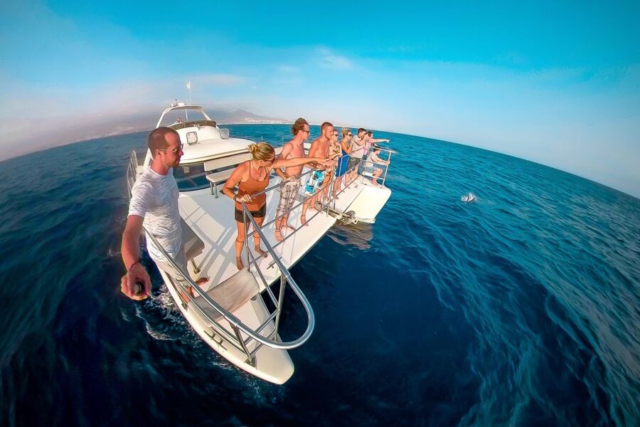 Tenerife: Marine-Life Tour with Transfer, Buffet and Drinks - Who Should Book This Tenerife Marine-Life Cruise