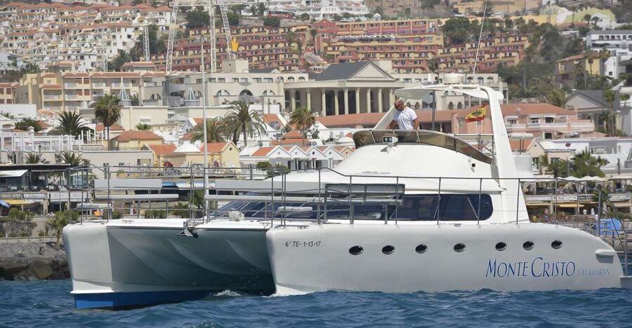 Tenerife: Marine-Life Tour with Transfer, Buffet and Drinks - The Marine-Life Hunt Off Tenerife: Whales, Dolphins, and How the Day Feels
