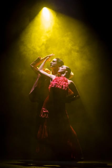 Tenerife : Olé Flamenco Show by Fran Chafino Ticket - Where Las Olas at GF Victoria Makes a Difference