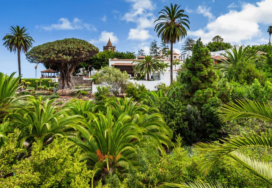 Tenerife: Private Day Tour of the Island with Hotel Pickup - Santa Cruz de Tenerife: capital-city energy you can actually feel