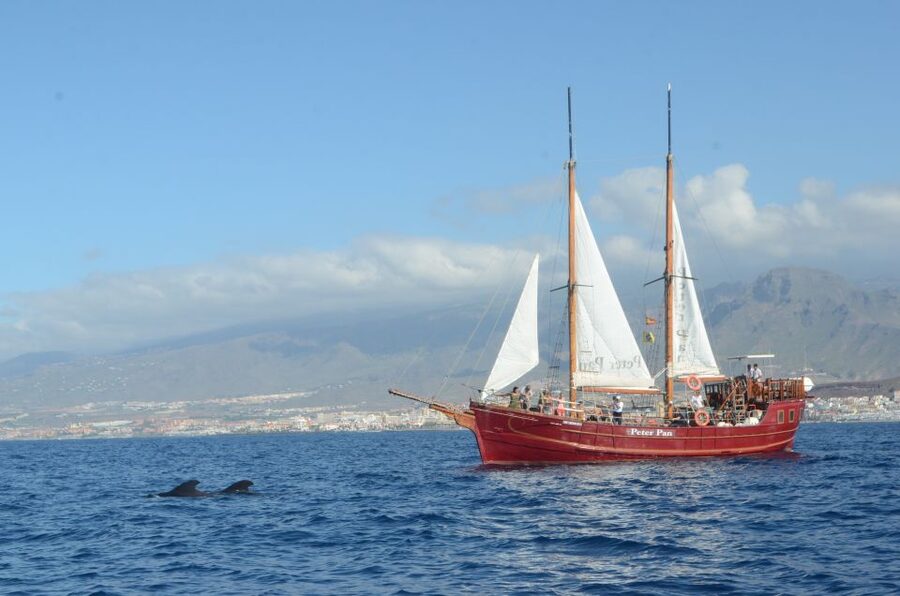 Tenerife:Respectful Whale Watching, Pirate Ship, & Swim - A Portuguese Goleta Cruise Off Los Cristianos