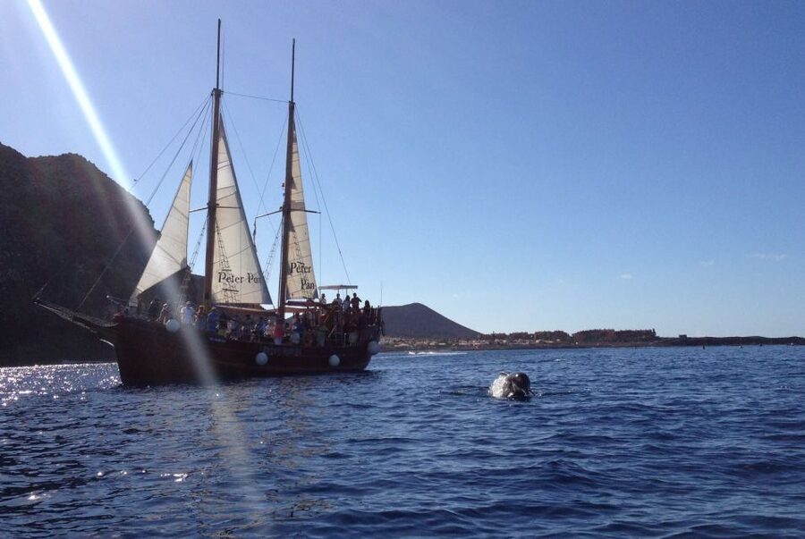 Tenerife:Respectful Whale Watching, Pirate Ship, & Swim - Inside the Boat: Space, Deck Options, and Bathroom Reality