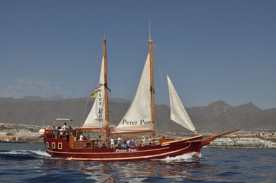 Tenerife:Respectful Whale Watching, Pirate Ship, & Swim - Drinks Onboard: How the Bar Changes the Value
