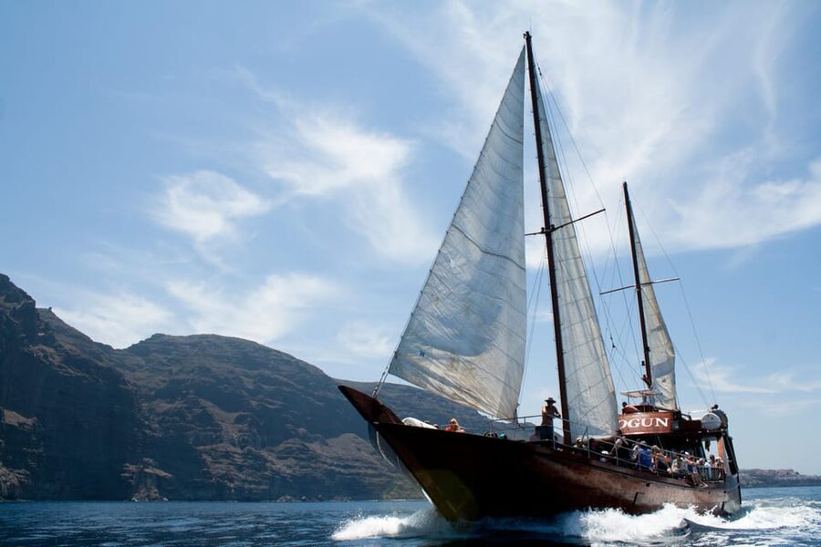 Tenerife:Respectful Whale Watching, Pirate Ship, & Swim - Who Should Book This Whale Watching and Pirate Ship Style Sail
