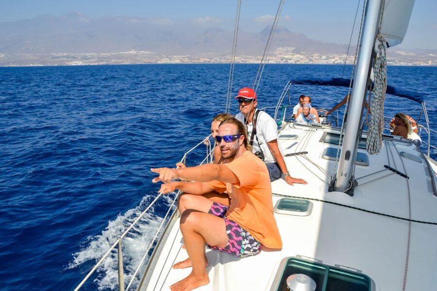 Tenerife: Sailboat Tour with Food and Snorkeling - Puerto Colón stop: dolphins, pilot whales, turtles, and a real snorkel window