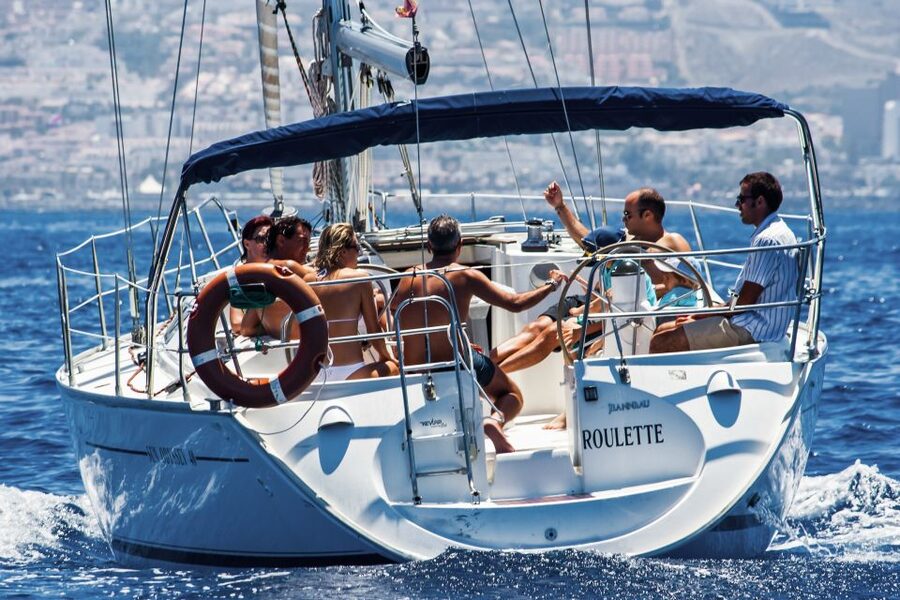 Tenerife: Sailboat Tour with Food and Snorkeling - Wildlife viewing tactics, and how the crew improves your odds