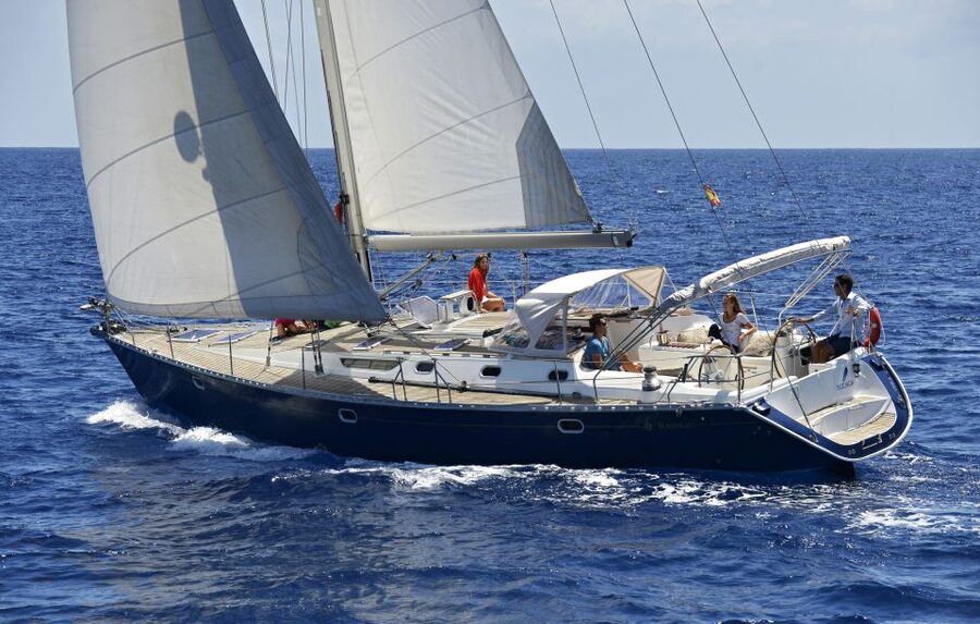 Tenerife: Sailing Excursion with Whale and Dolphin Watching - Why Tenerife’s South Coast Is Such a Good Bet for Whale Watching