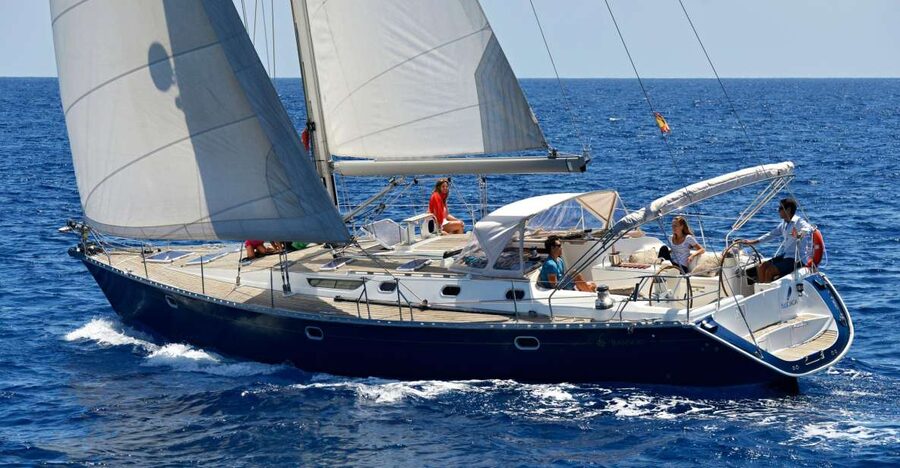 Tenerife: Sailing Excursion with Whale and Dolphin Watching - Meeting at Puerto Colón, Dock Zero, Without the Usual Headache