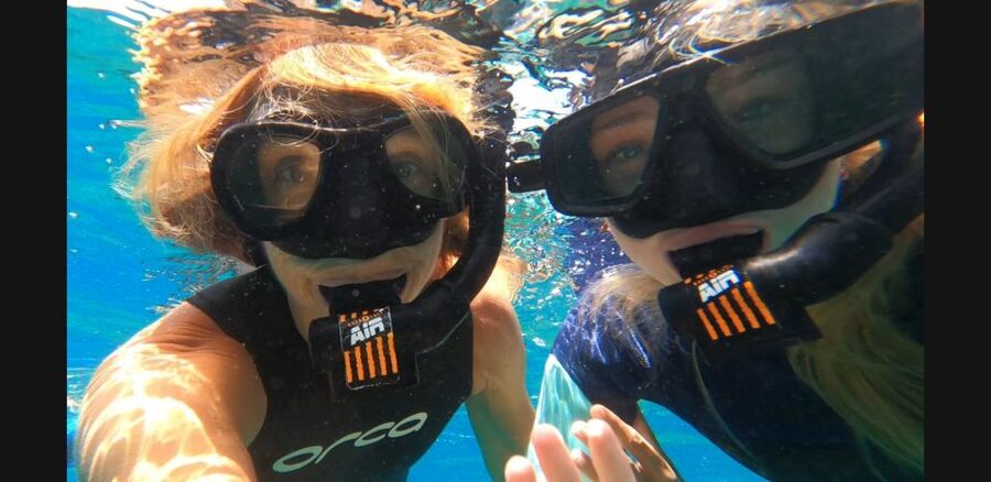 Tenerife: Snorkeling Tour in a Marine Protected Area - Key takeaways