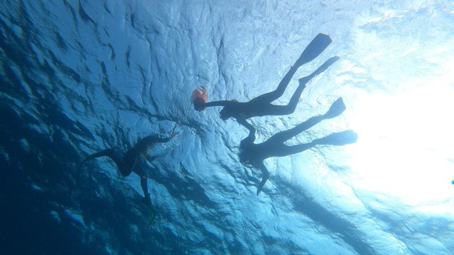 Tenerife: Snorkeling Tour in a Marine Protected Area - Rafaella and Ron: patient coaching, organization, and calm energy
