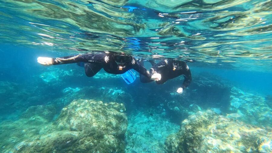 Tenerife: Snorkeling Tour in a Marine Protected Area - Meeting point at Magilu, and what to do before you hit the water