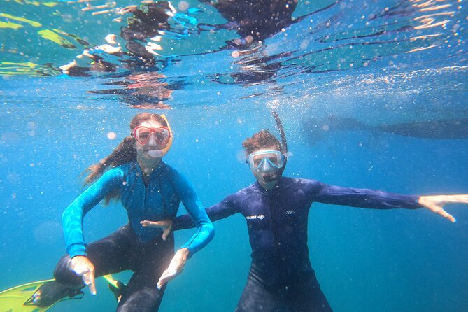 Tenerife Snorkeling Tour in turtle habitat - Second boat ride to the next snorkeling moment