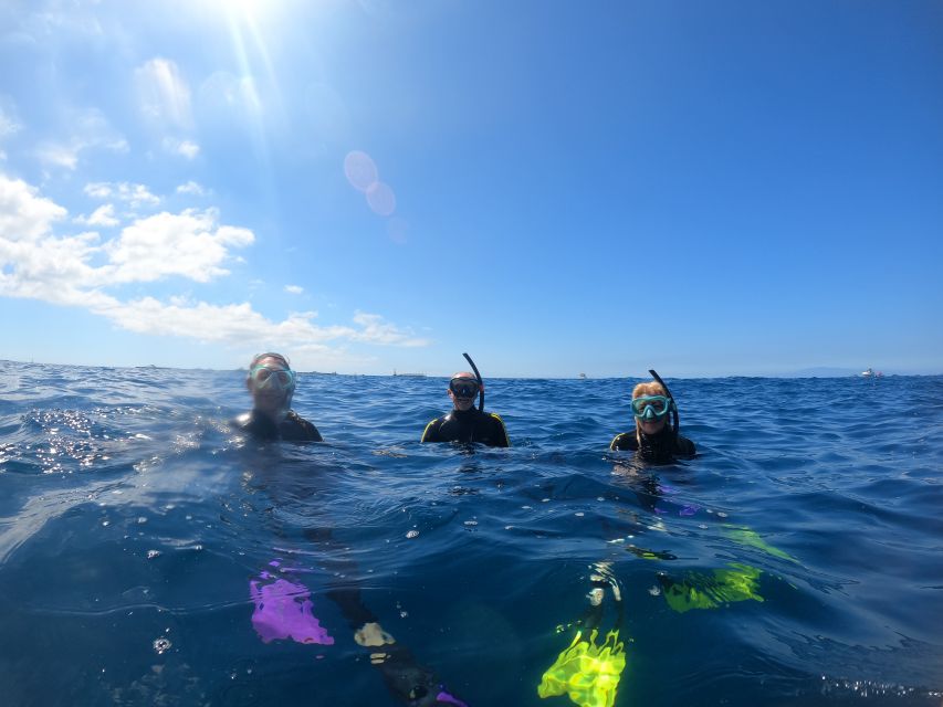Tenerife: Snorkeling Trip in a Turtle Habitat - Speedboat ride: the coast views are part of the deal