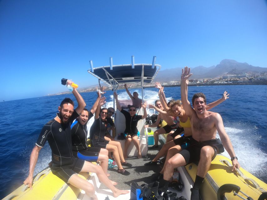 Tenerife: Snorkeling Trip in a Turtle Habitat - What’s included in the price, and why it can feel like good value
