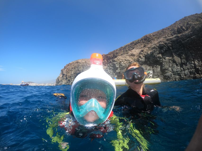 Tenerife: Snorkeling Trip in a Turtle Habitat - Meet at Travel Sub Dive Centre, then get geared up fast